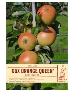 Sortenschild, Malus domestica 'Cox Orange Queen'