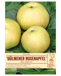 Sortenschild, Malus domestica 'Dülmener Rosenapfel'