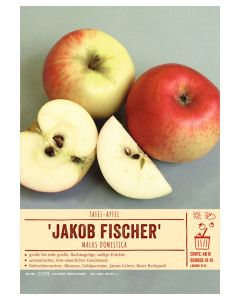 Sortenschild, Malus domestica 'Jakob Fischer'