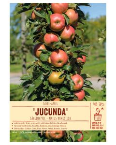 Sortenschild, Malus domestica 'Jucunda'
