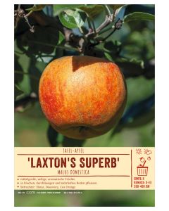 Sortenschild, Malus domestica 'Laxton's Superb'