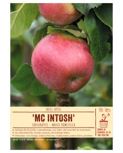 Sortenschild, Malus domestica 'Mc Intosh'