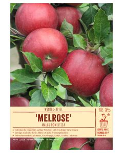 Sortenschild, Malus domestica 'Melrose'