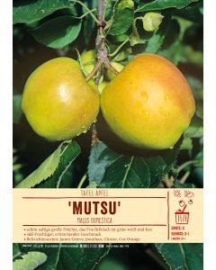 Sortenschild, Malus domestica Mutsu