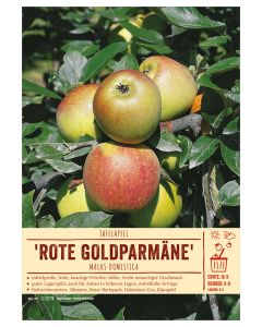 Sortenschild, Malus domestica 'Rote Goldparmäne'