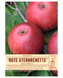 Sortenschild, Malus domestica 'Rote Sternrenette'