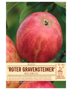 Sortenschild, Malus domestica 'Roter Gravensteiner'