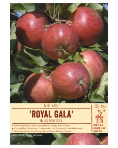 Sortenschild, Malus domestica 'Royal Gala'