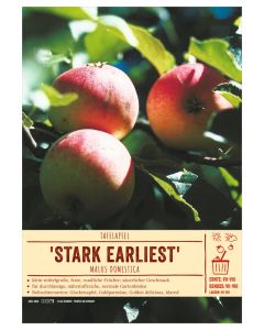 Sortenschild, Malus domestica 'Stark Earliest'