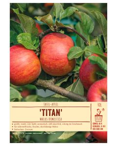 Sortenschild, Malus domestica 'Titan'