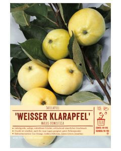 Sortenschild, Malus domestica 'Weißer Klarapfel'