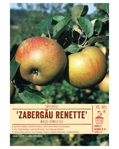 Sortenschild, Malus domestica 'Zabergäu Renette'