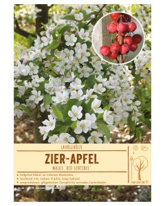 Sortenschild, Malus 'Red Sentinel'