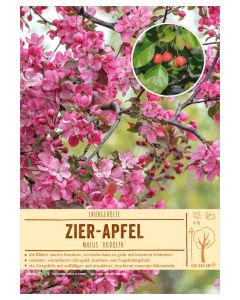 Sortenschild, Malus 'Rudolph'