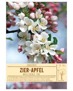 Sortenschild, Malus toringo 'Tina'