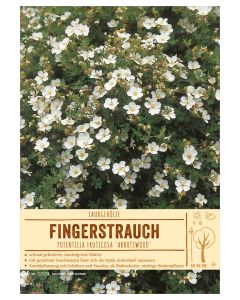 Sortenschild, Potentilla fruticosa