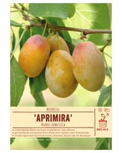 Sortenschild, Prunus domestica 'Aprimira'