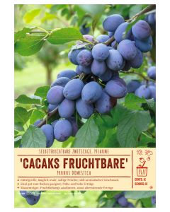 Sortenschild, Prunus domestica 'Cacaks Fruchtbare'