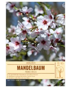 Sortenschild, Prunus dulcis