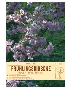 Sortenschild, Prunus subhirtella 'Fukubana'