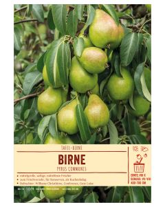 Sortenschild, Pyrus communis