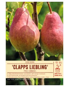 Sortenschild, Pyrus communis 'Clapps Liebling'