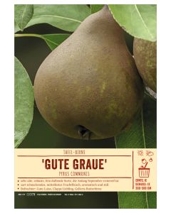 Sortenschild, Pyrus communis 'Gute Graue'