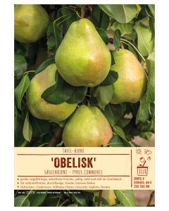 Sortenschild, Pyrus communis 'Obelisk'