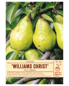 Sortenschild, Pyrus communis 'Williams Christbirne'