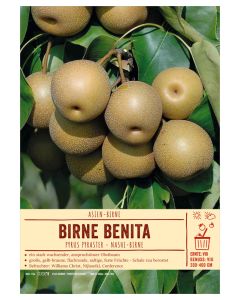 Sortenschild, Pyrus pyraster 'Benita'