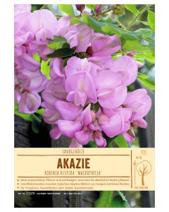 Sortenschild, Robinia hispida 'Macrophylla'