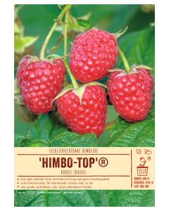 Sortenschild, Rubus idaeus 'Himbo-Top'®
