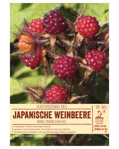 Sortenschild, Rubus phoenicolasius