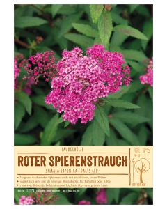 Sortenschild, Spiraea japonica 'Darts Red'