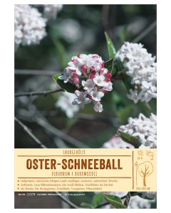 Sortenschild, Viburnum x burkwoodii