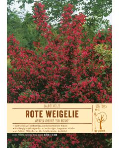 Sortenschild, Weigela-Hybr. 'Eva Rathke'
