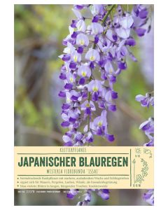 Sortenschild, Wisteria floribunda 'Issai'