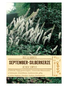 Sortenschild, Cimicifuga ramosa