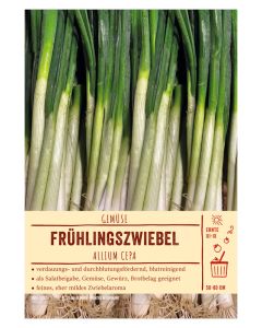 Sortenschild, Allium cepa