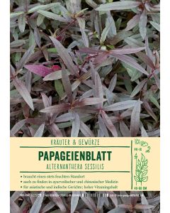 Sortenschild, Alternanthera sessilis