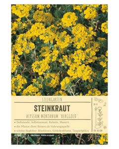 Sortenschild, Alyssum montanum 'Berggold'