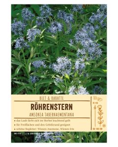 Sortenschild, Amsonia tabernaemontana