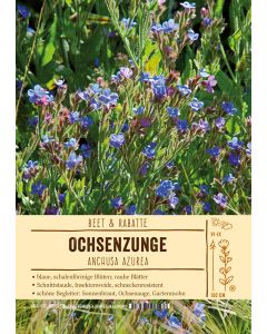 Sortenschild, Anchusa azurea