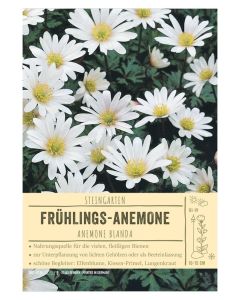 Sortenschild, Anemone blanda