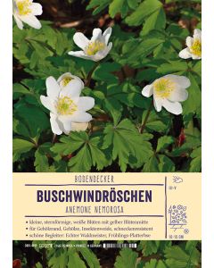 Sortenschild, Anemone nemorosa