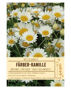 Sortenschild, Anthemis tinctoria 'Sauce Hollandaise'