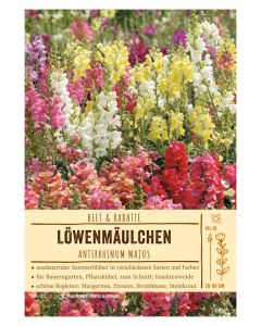 Sortenschild, Antirrhinum majus