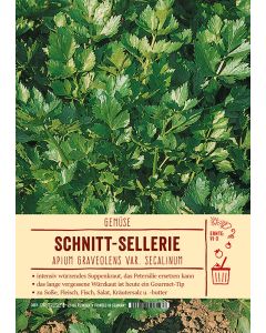 Sortenschild, Apium graveolens v. secalinum