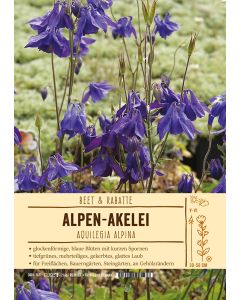 Sortenschild, Aquilegia alpina
