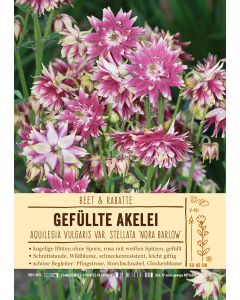 Sortenschild, Aquilegia Vulgaris-Hybride 'Nora Barlow'